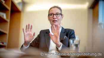 Weidel: Entscheidung zu AfD-Kanzlerkandidatur erst später
