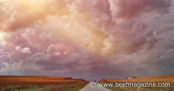 FAPRI agriculture baseline outlook reflects downward shifts