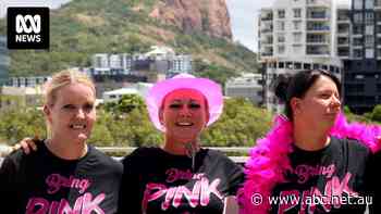 Townsville group's 12-year campaign to bring pop start P!NK to regional Queensland pays off