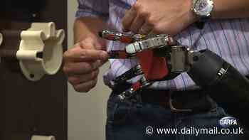 The brain chip pioneers who paved the way for Elon Musk's Neuralink: Brave patients have been getting devices implanted in their skulls SINCE 2006