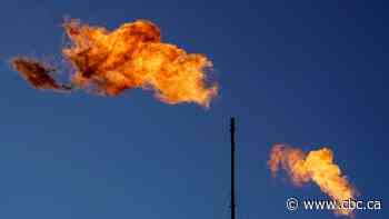 Industrial carbon pricing has three times the impact on emissions as consumer carbon tax: report