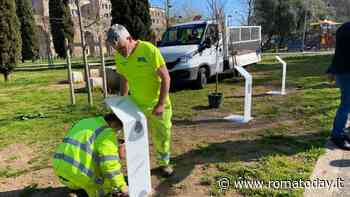 Torpignattara, un giardino delle religioni al parco Sangalli: piantati rose, ulivi e melograni