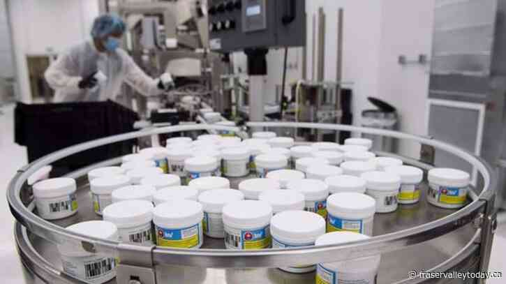 Key recommendations from the government’s review of the Cannabis Act