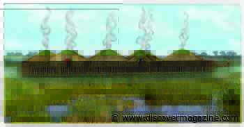 Village Objects Reveal Comfy, Swamp-Dwelling Lifestyle 3,000 Years Ago