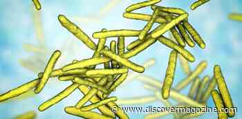 Leprosy Cases Are Rising in the U.S. — An Expert Explains What we Know