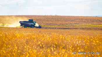 Importe sind deutlich gestiegen: EU bereitet höhere Zölle auf russisches Getreide vor