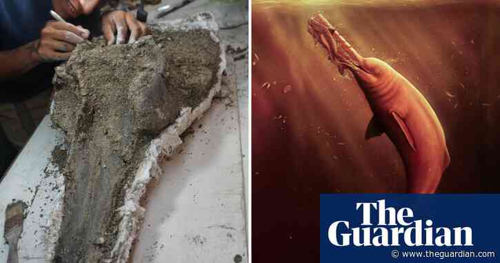 Scientists find skull of enormous ancient dolphin in Amazon