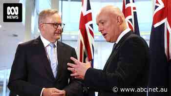 Australia has outranked New Zealand for happiness. But why?