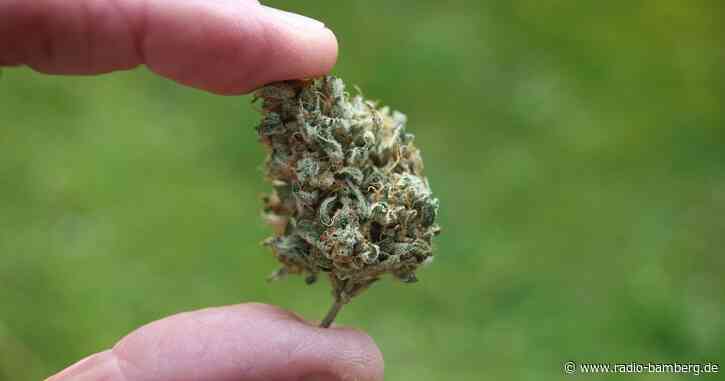 Bundesrat entscheidet über Cannabis-Freigabe