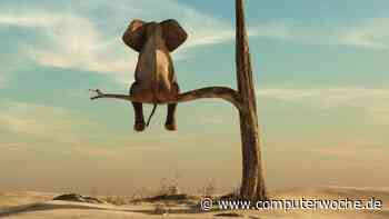 So funktioniert Risk Management