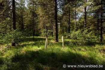 Gemeentelijke natuurgebied Het Rood blijft toegankelijk
