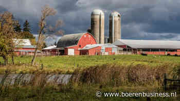 Schrikkelmelk redt Amerikaanse melkaanvoer