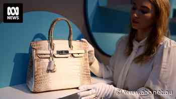 Lawsuit argues barrier to buy Hermes Birkin bags is too high