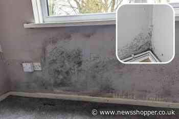 Family stuck in mould-infested A2Dominion Bromley flat
