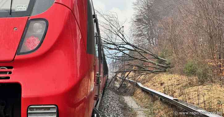 Zug mit 250 Fahrgästen stößt gegen gefällten Baum