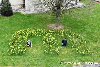 Gemeente plant voor eerste keer op grote schaal paasbloemen aan: “Nu zijn er zo’n drieduizend, maar het worden er nog veel meer”