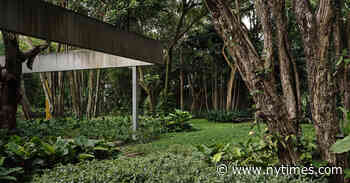 How Do You Build a Jungle?