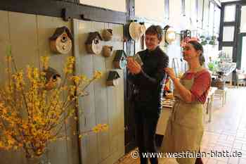 Auch Vögel mögen Keramik-Stücke