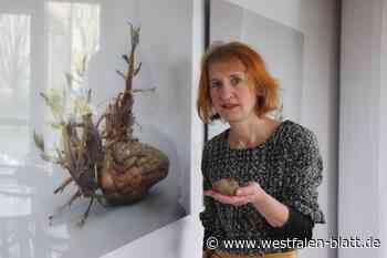 „Kartoffelporträts“ in der Paderhalle