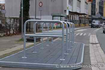 Flexible „Fahrrad-Flundern“ kommen nun auch in Herford zum Einsatz