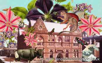 Blackburn Museum and Art Gallery's extended openings for 150th year