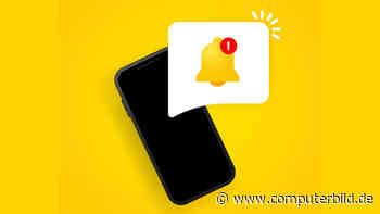 Google bringt neue Klingelton-Funktion in die Kontakte-App