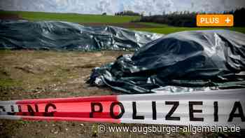 Kadaver auf dem Misthaufen: Landwirt verliert vor Gericht