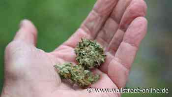 Bundesrat stimmt zu: Cannabis ab 1. April legal: Wilde Fahrt bei der Synbiotic-Aktie