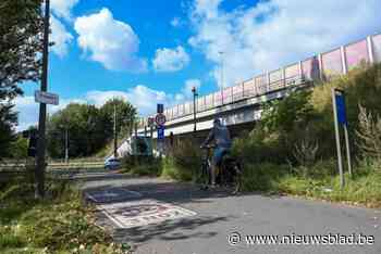 Districtsraad eist opnieuw om E313 te ondertunnelen: “Zal de leefbaarheid drastisch verbeteren”