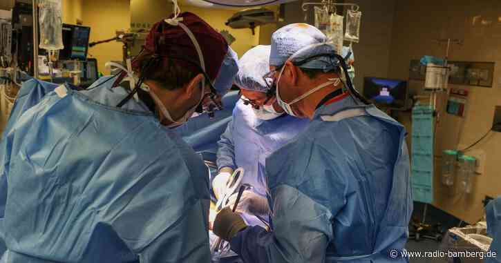 Erstmals Schweineniere in Menschen transplantiert