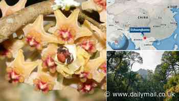 Can you spot the SECOND spider hiding in this picture? Scientists who took the image didn't even know it was there...