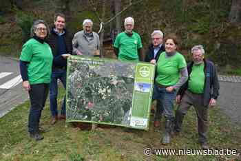 Na oproep krijgt Natuurpunt 56 locaties door voor aanplanten bomen: “Mensen doen aanvragen waar er een boom ontbreekt”
