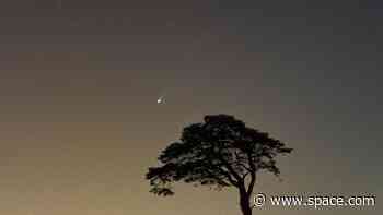 Amazing photos of 'horned' comet 12P/Pons-Brooks from around the world