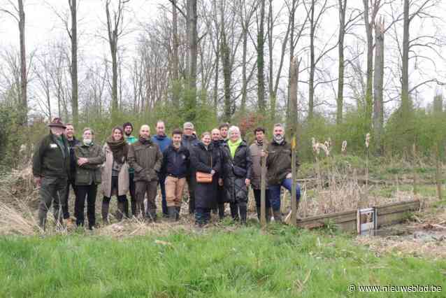 Google investeert half miljoen euro in nat poldergebied: “Met onze datacenters verbruiken we nu 80 miljoen liter water, we willen dat teruggeven aan de natuur”