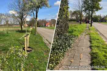 Wipt Essen dit jaar top tien binnen in Vlaams Kampioenschap Tegelwippen?