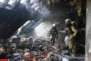 Brandweer redt kat uit brandende flat, bewoners geëvacueerd