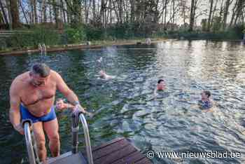 Deurnese IJsberen laten 150 nieuwe leden toe: “Maar het zal altijd te weinig zijn”