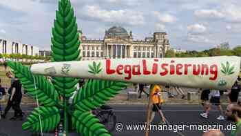 Cannabis-Legalisierung: Bundesrat ebnet den Weg für erlaubtes Kiffen