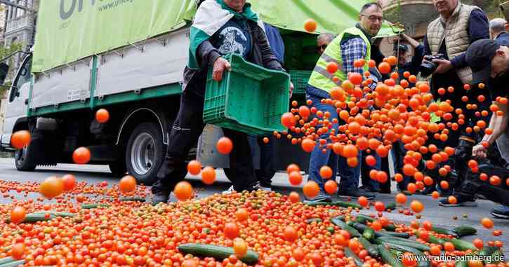 EU-Gipfel dringt auf weitere Entlastungen für Bauern