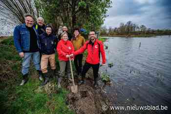 Natuurpunt bouwt nieuwe uitkijkhut in Mechels Broek deels onder water: “Bezoekers laten beleven hoe belangrijk natte natuur is”