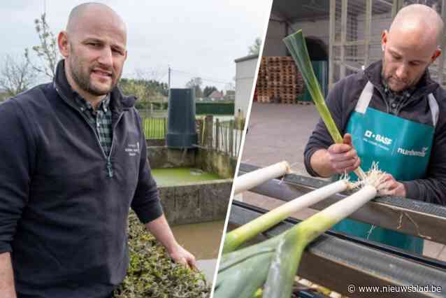 Boer Benny wast zijn prei met liters hergebruikt water: “We halen geen druppel uit de grond”