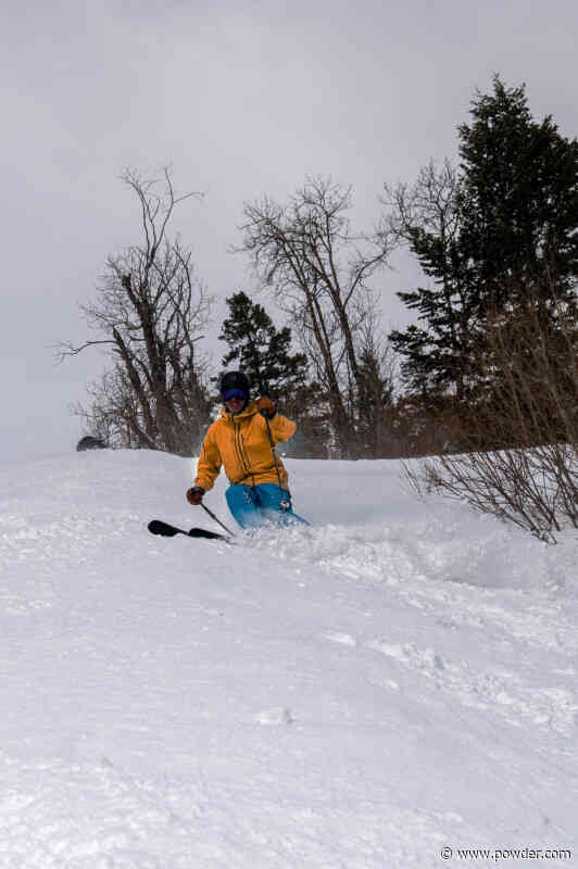 Powder Review: Nordica Enforcer 99