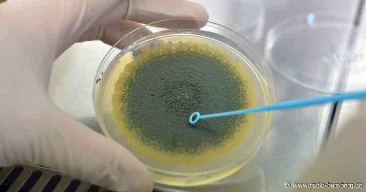 Warnung zu Schimmelpilz-Verunreinigung in LevlUp-Getränk