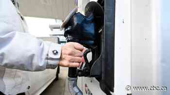 What's behind the carbon tax, and does it work?