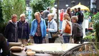 Ulmer Gartenträume: Das sind die Trends fürs Grüne im Jahr 2024