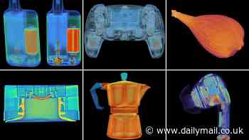 Can you tell what they are? CT scans reveal 9 everyday objects like you've never seen them before