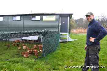 Hennengeluk staat centraal in nieuwe mobiele kippenkar van De Dobbelhoeve