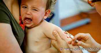 Bofuitbraak in Gelderland: ‘Ziekte verspreidt zich snel’