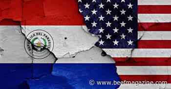 Senate votes to ban Paraguay beef