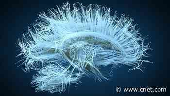 If You Aren't Sleeping, Your Brain Might Be Aging Prematurely     - CNET